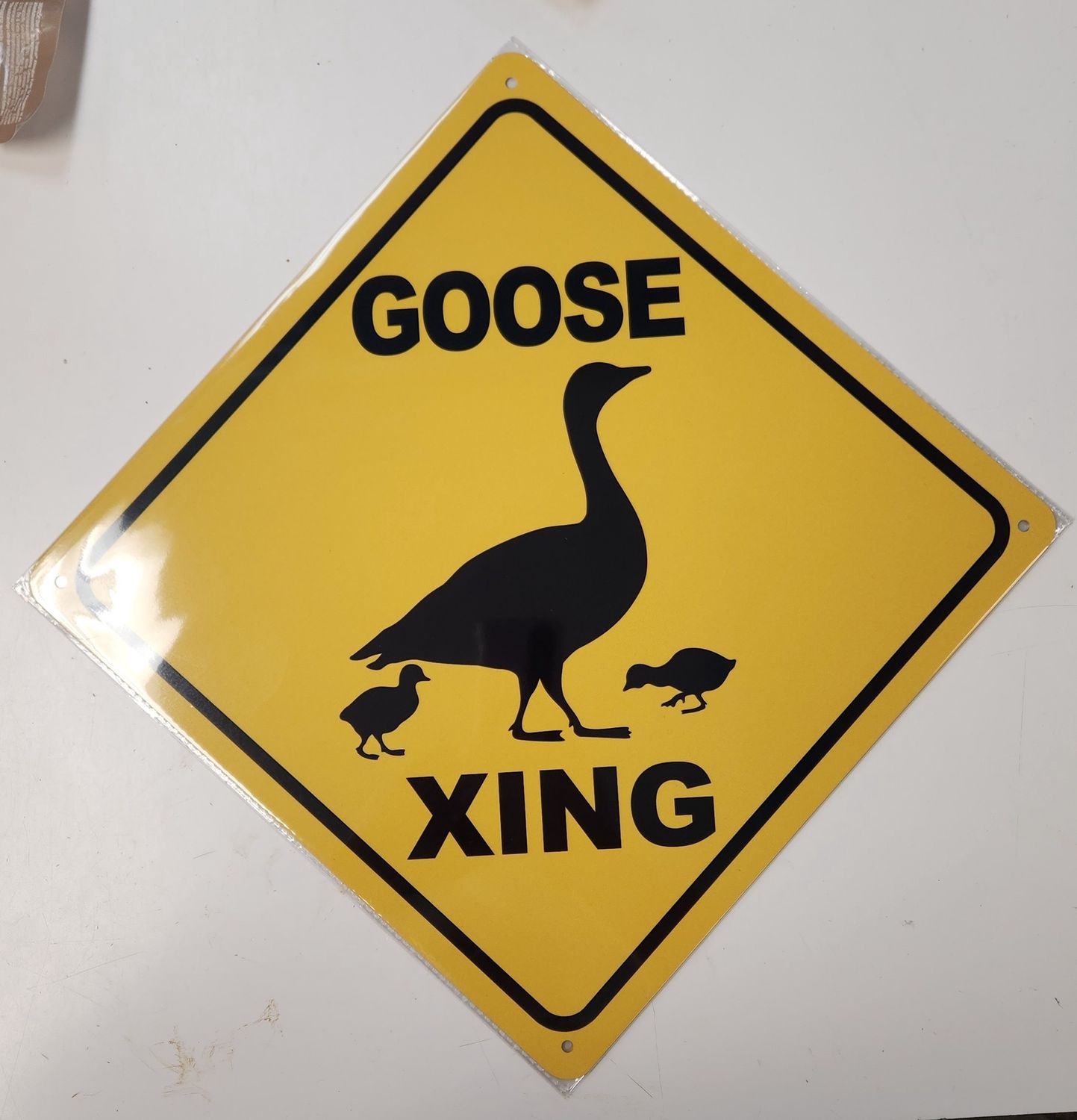 Goose Xing