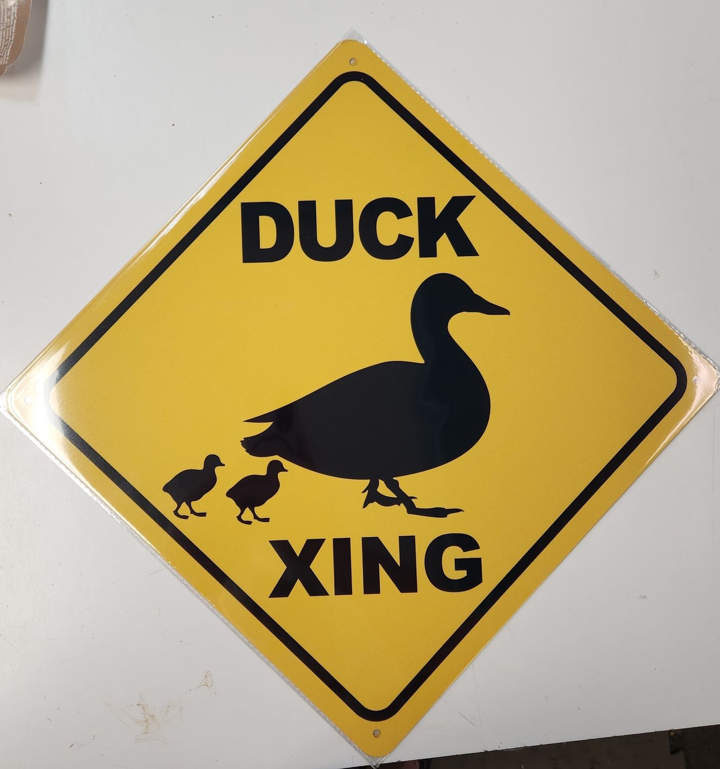 Duck family X ing