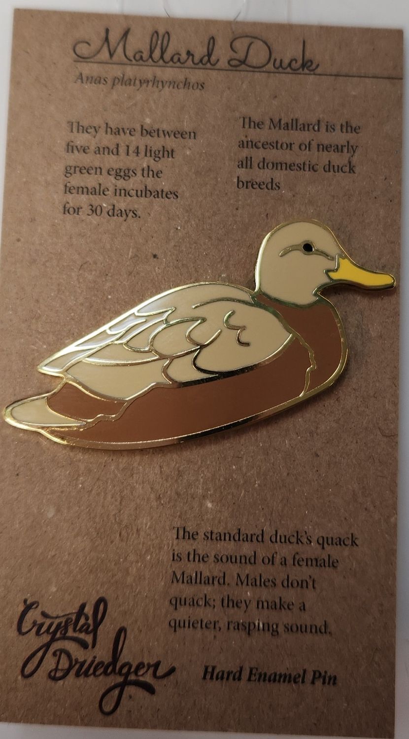 Mallard Hen