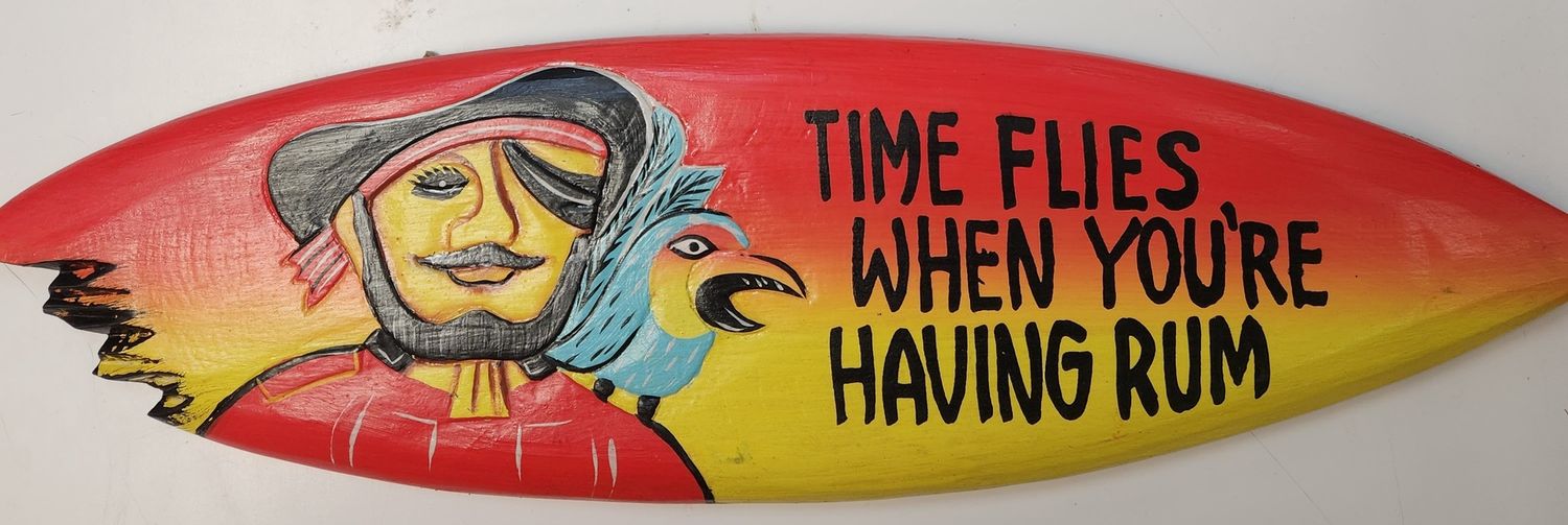 Time Flies Surf board
