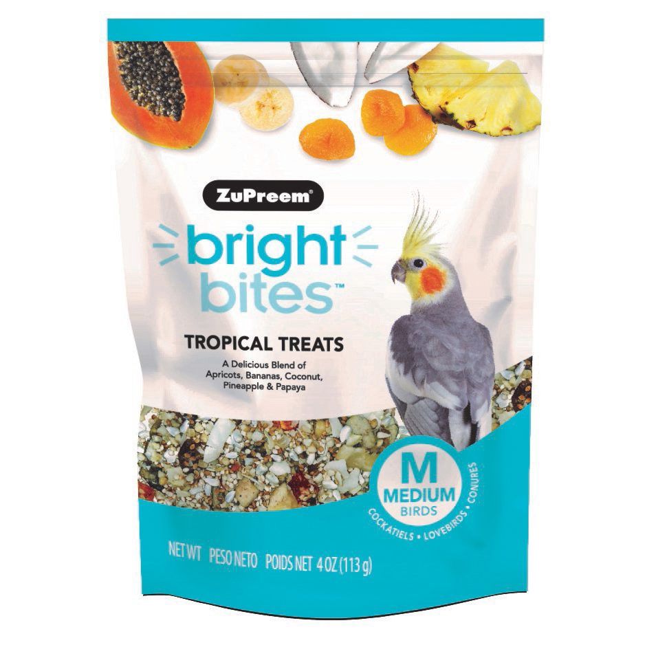 Bright Bites Treat