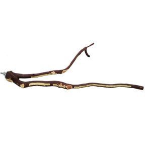 20 &quot; Manzinita fork