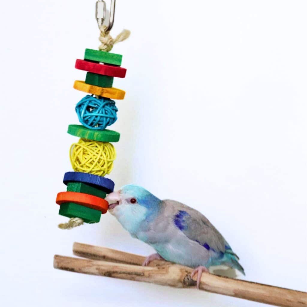 Wicker Wood Fun Toy