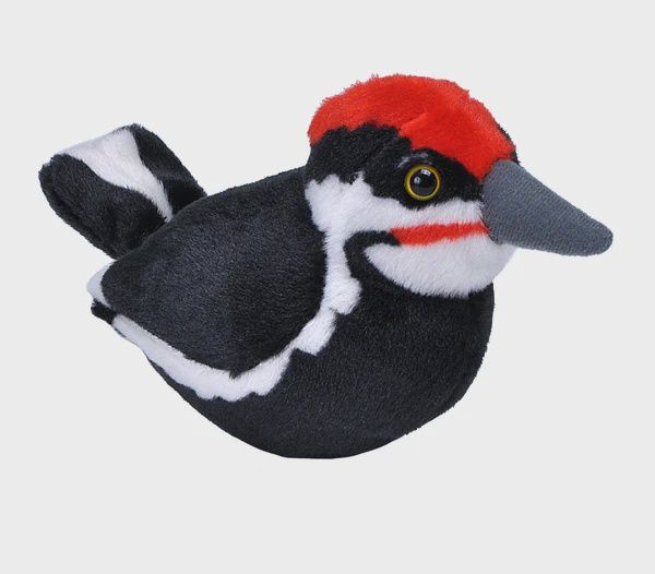 Pileated Wood Pecker