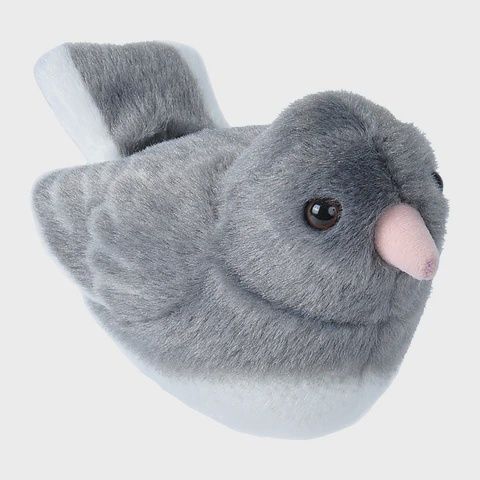 Dark Eyed Junco