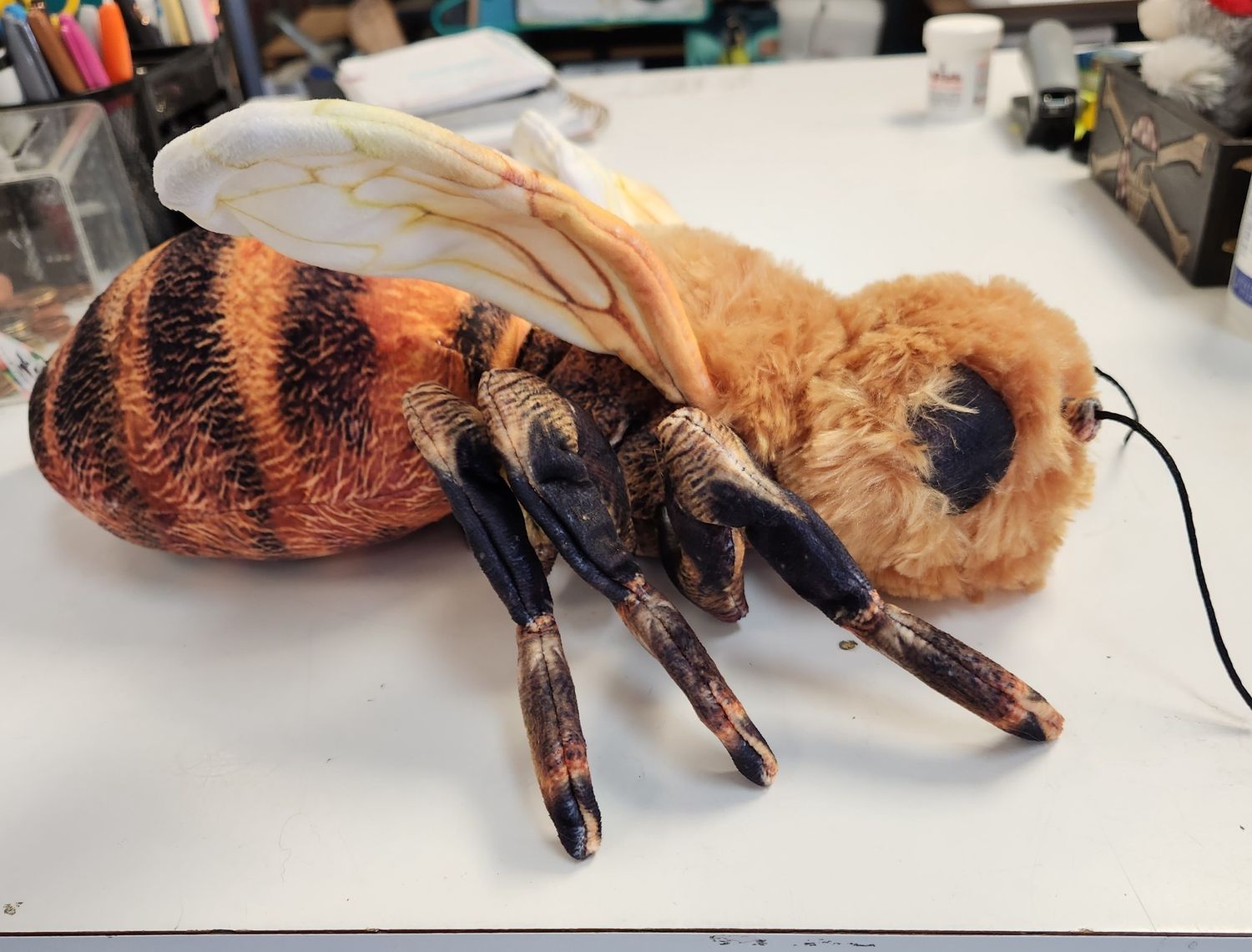 texas Bee