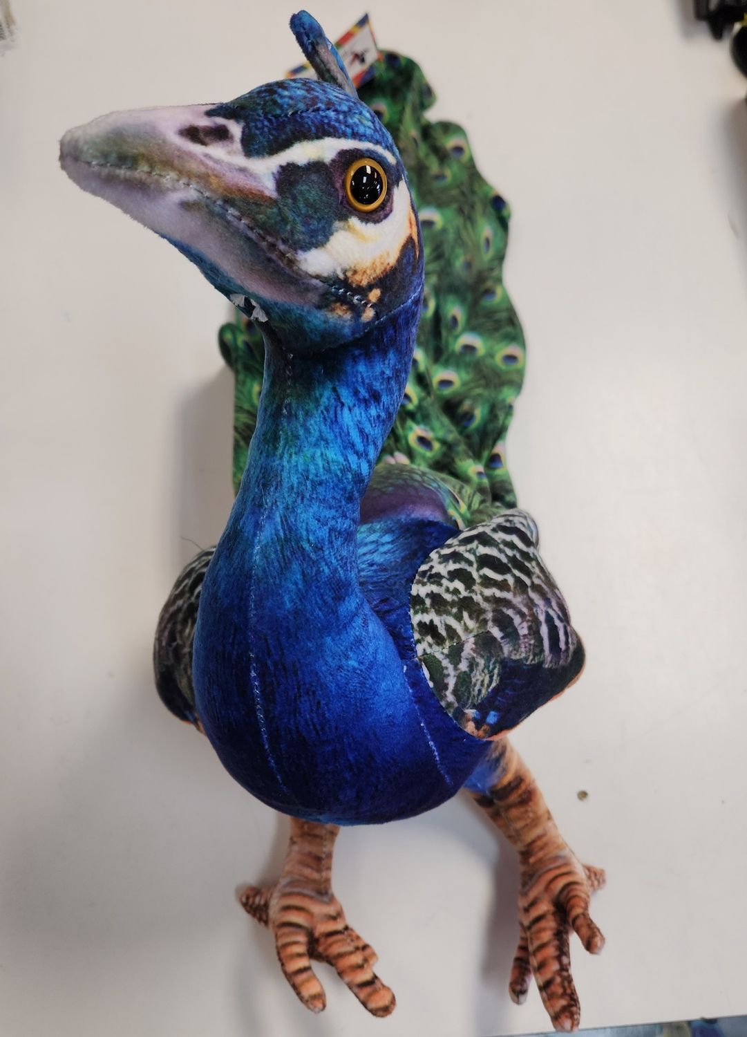 Peacock