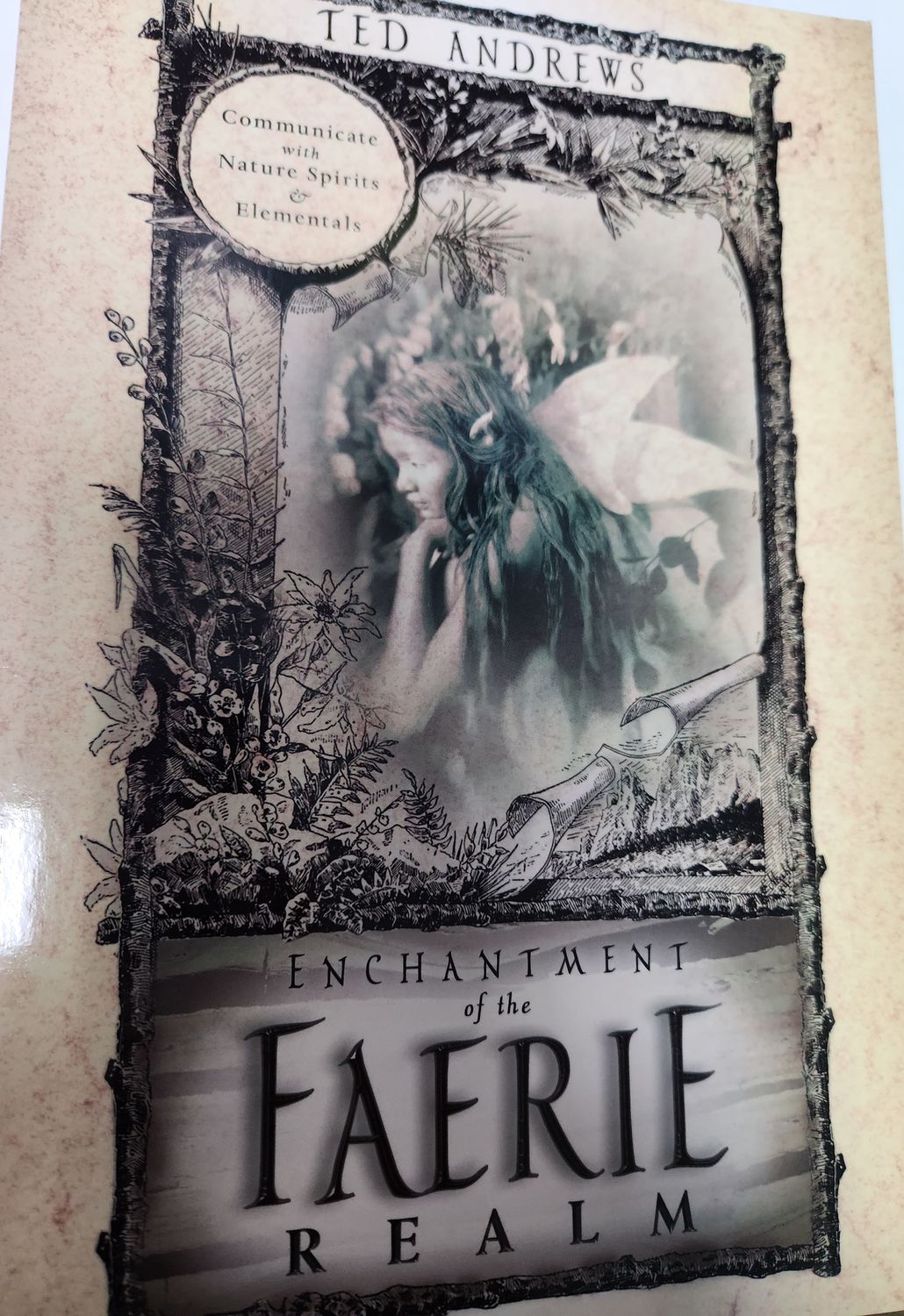 Enchantment of the Faerie Realm
