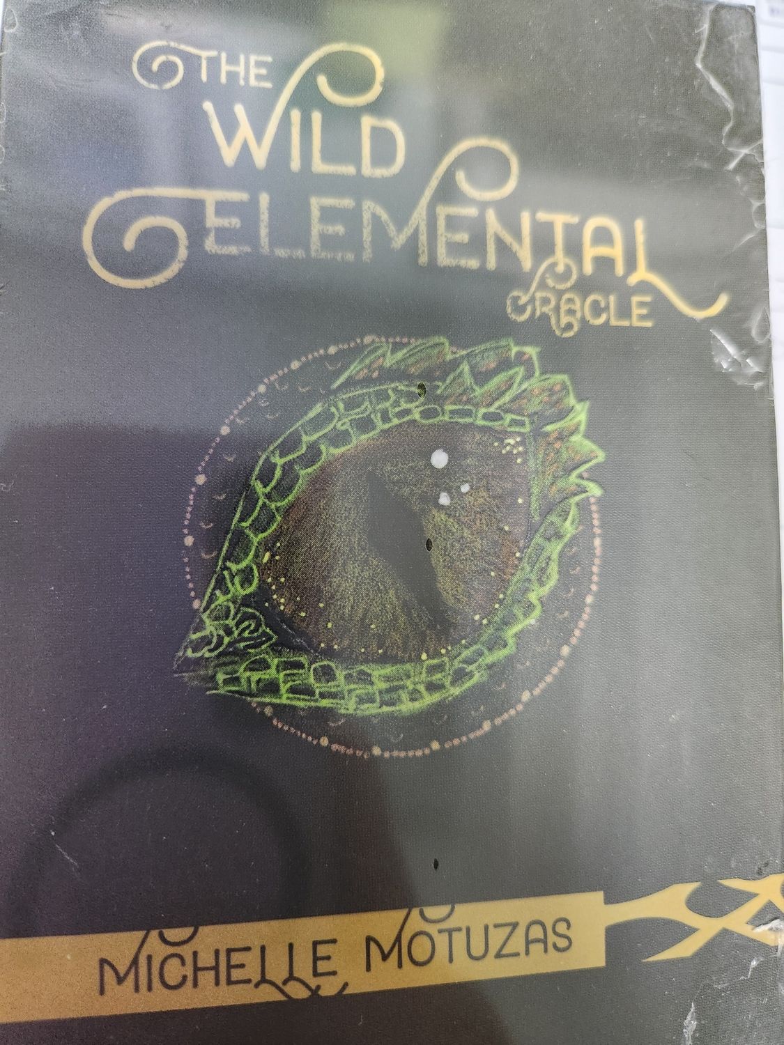The Wild Elemental Oracle