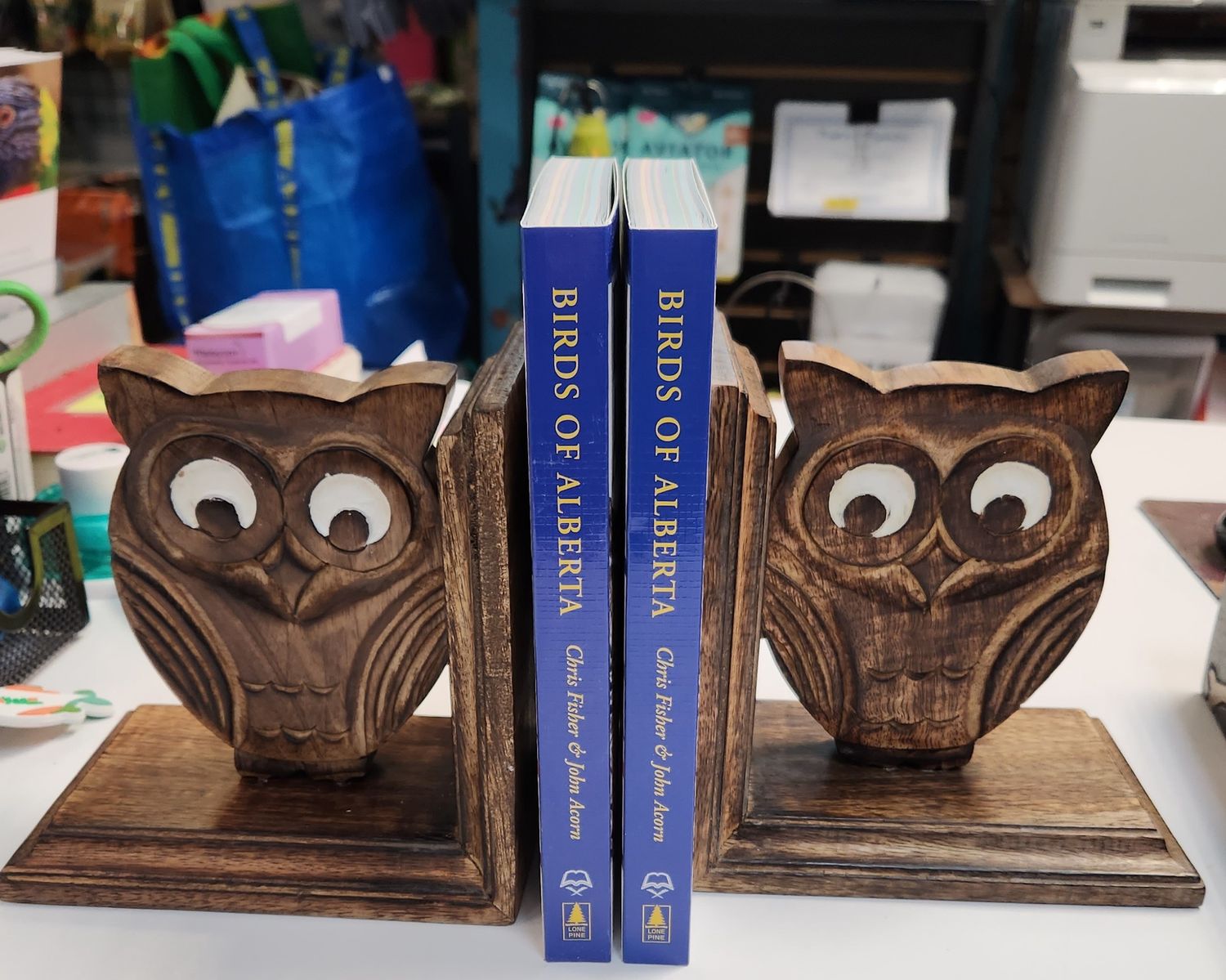Mango Wood Owl Bookends