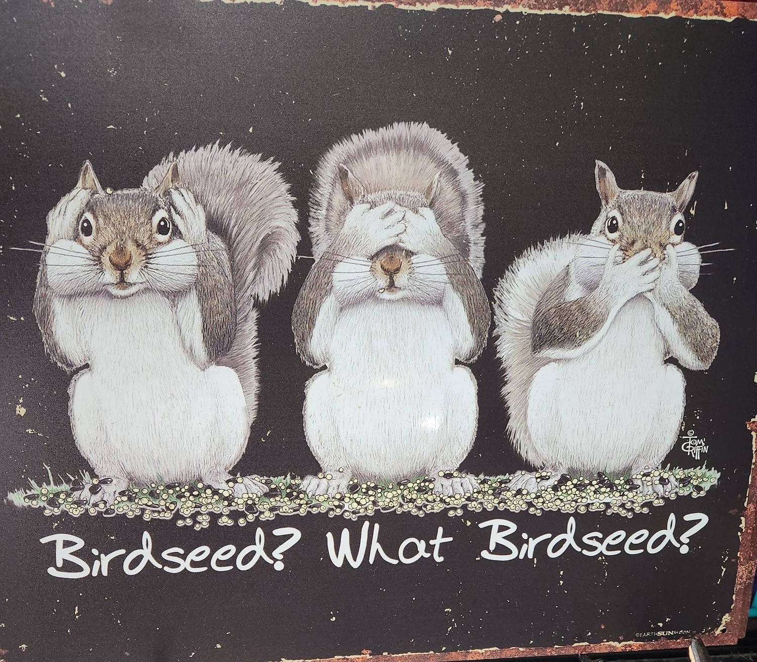 What Birdseed-Tin Sign