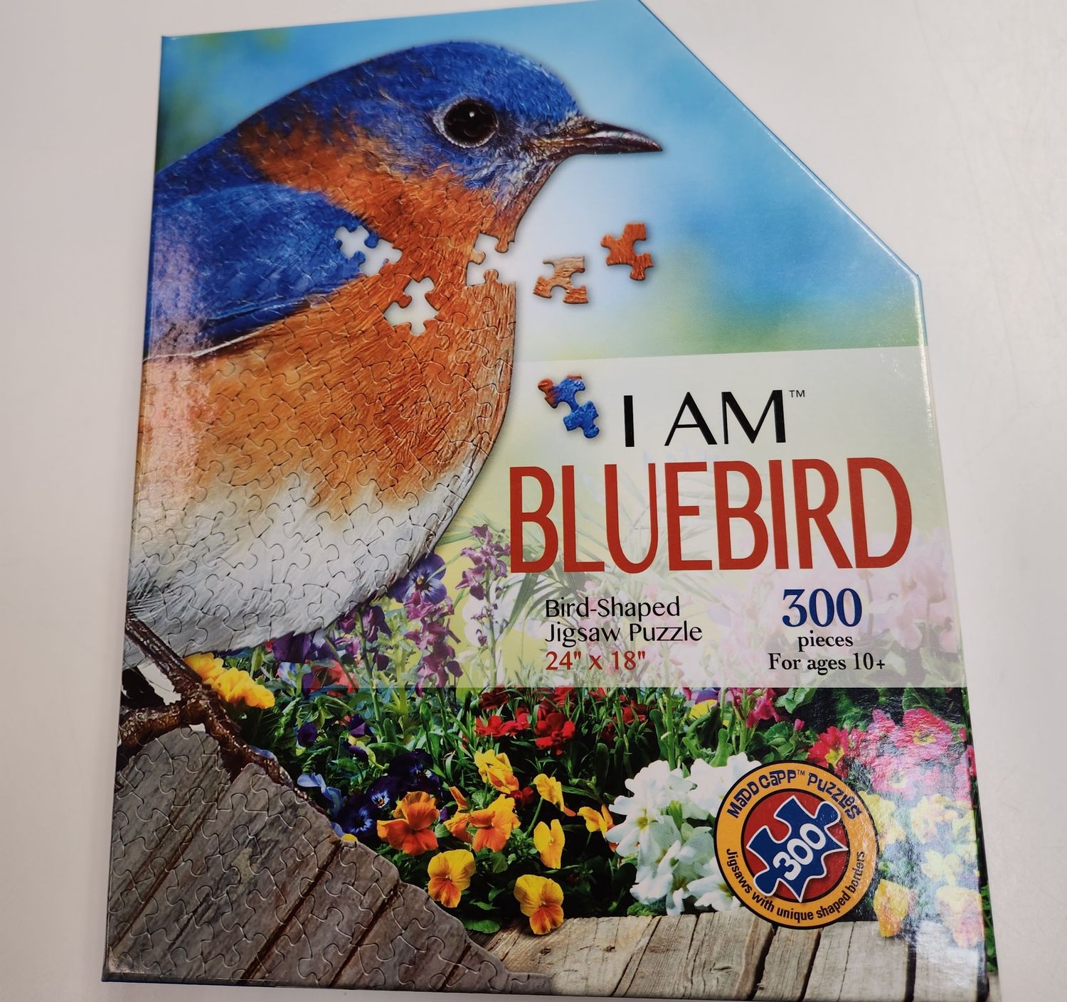 I am Bluebird