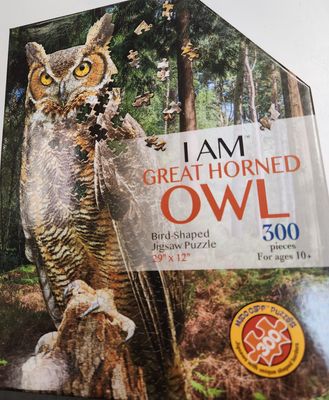 I am Great Horned Owl