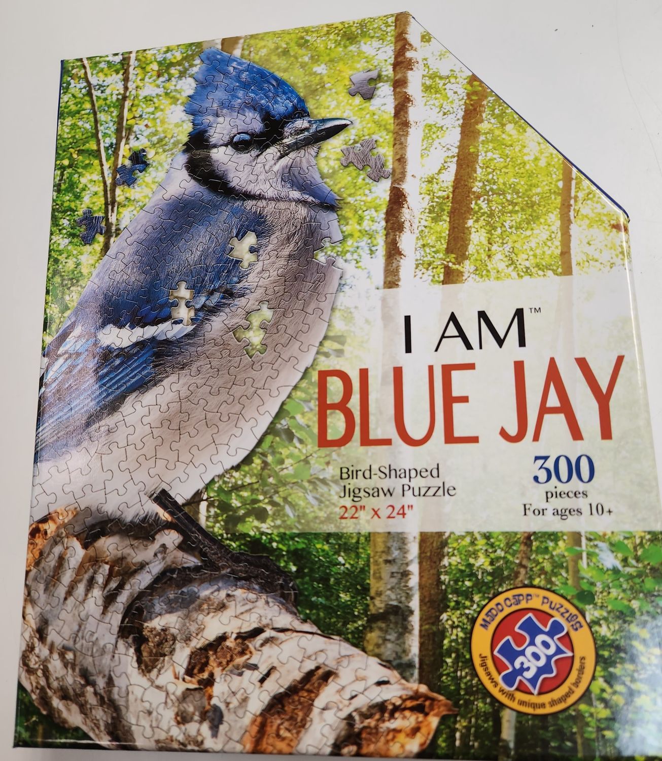 I am Blue Jay