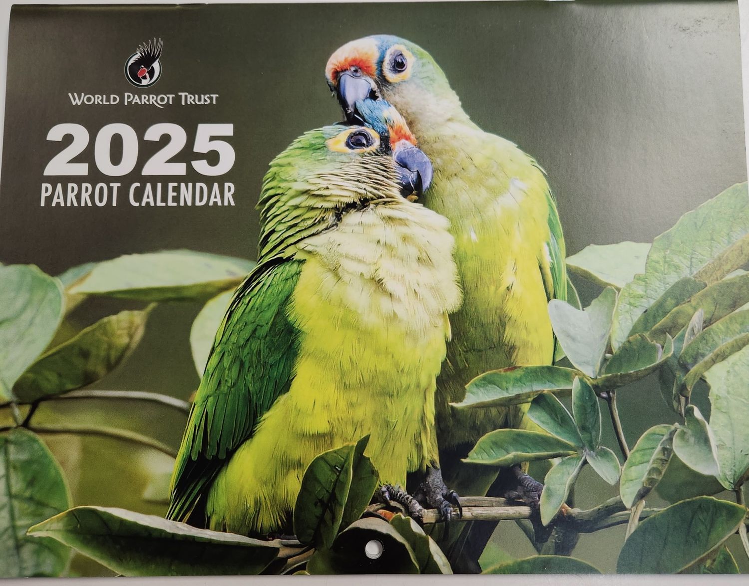 World Parrot Trust Calendar