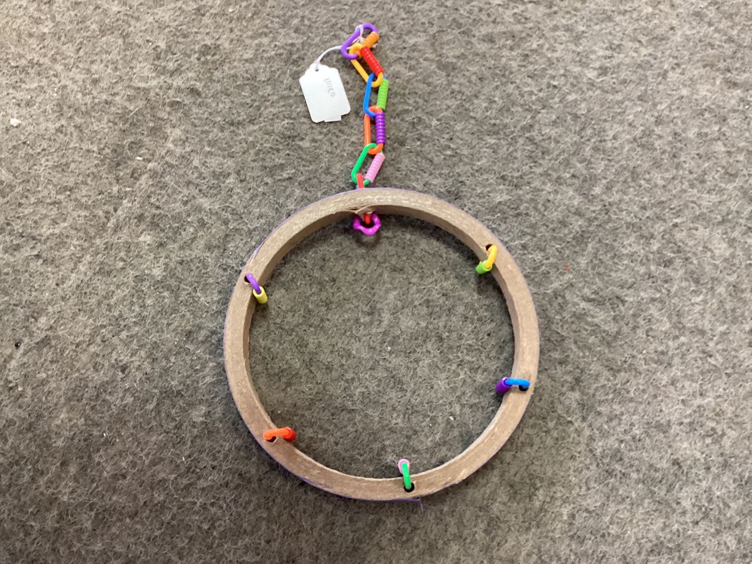 Big Ring Swing