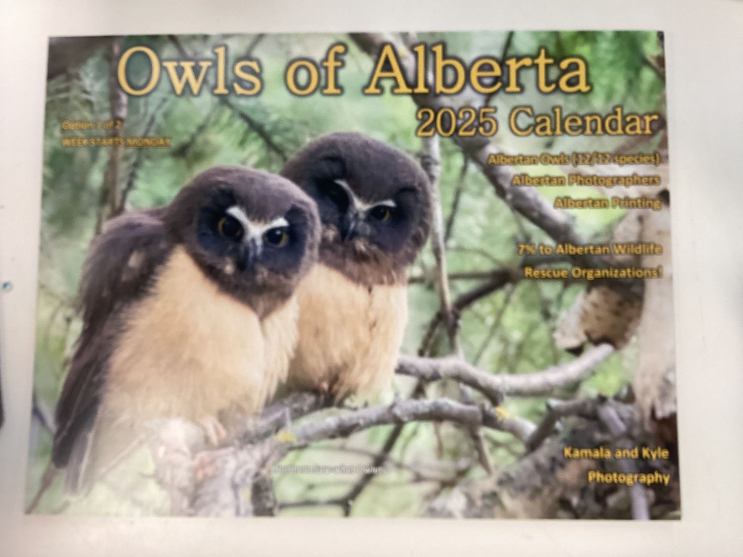 Owls of Alberta