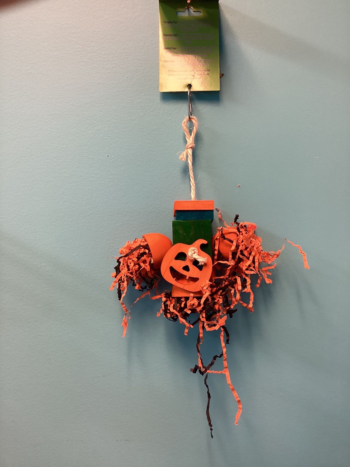 shredded pumpkin md