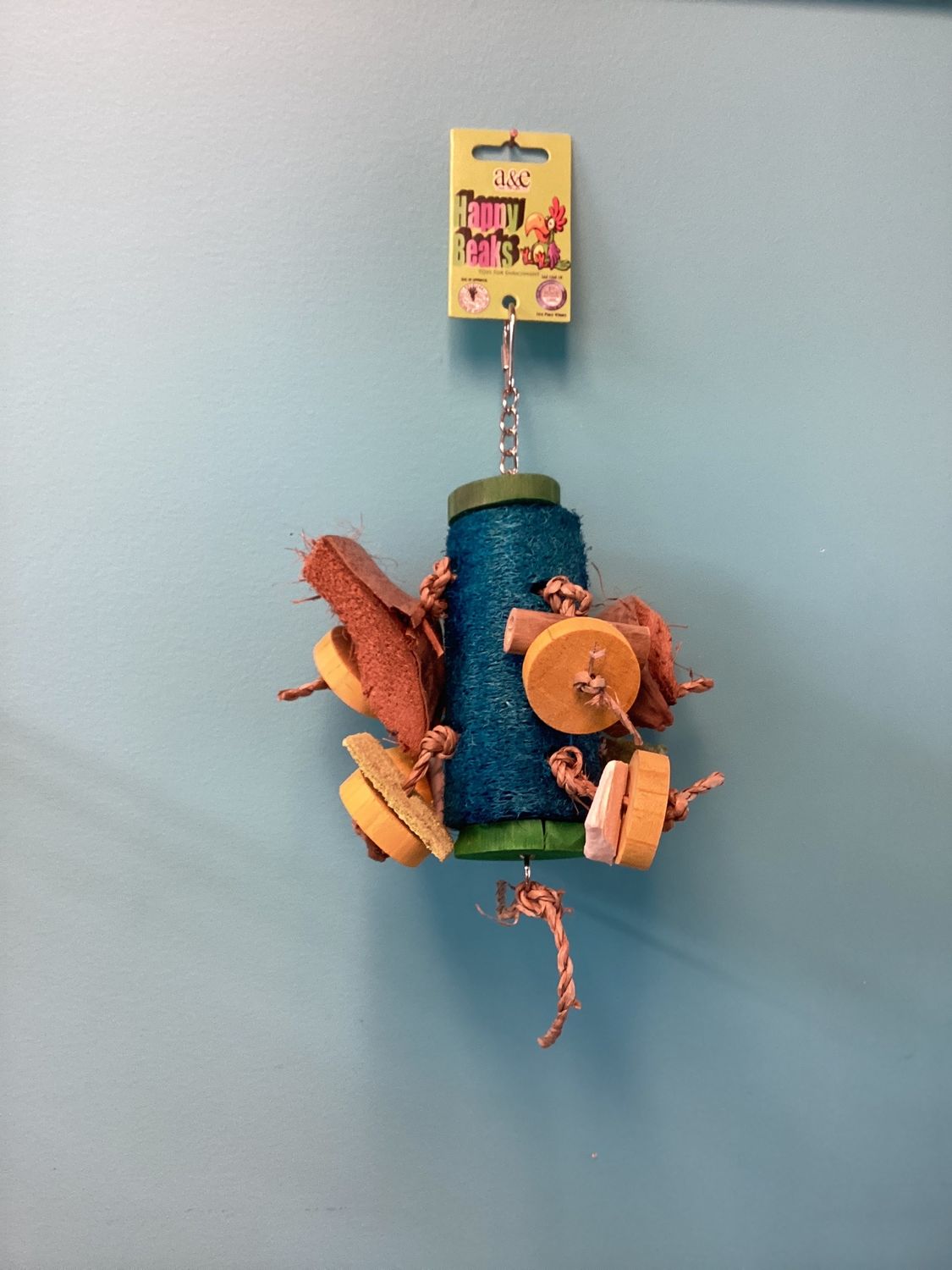 small fun Spongy