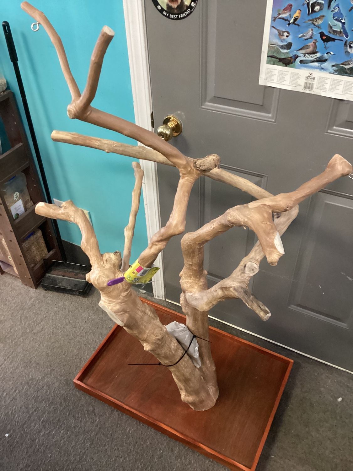 Table Top Java Tree