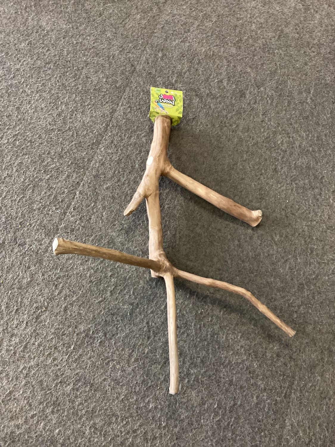 small Java wood Multi branch
