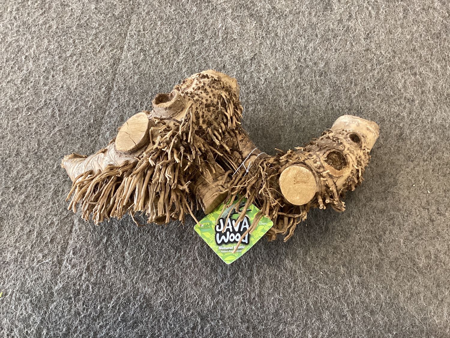 Spider Root