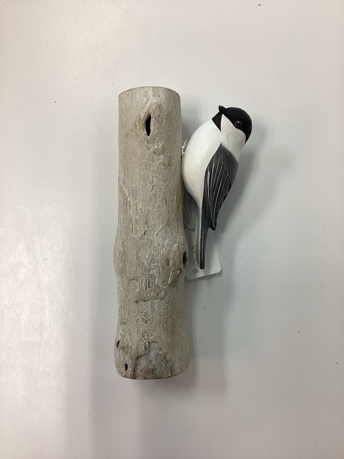 Chickadee on tree