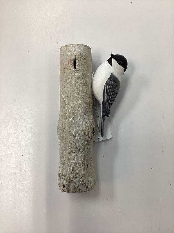 Chickadee on tree
