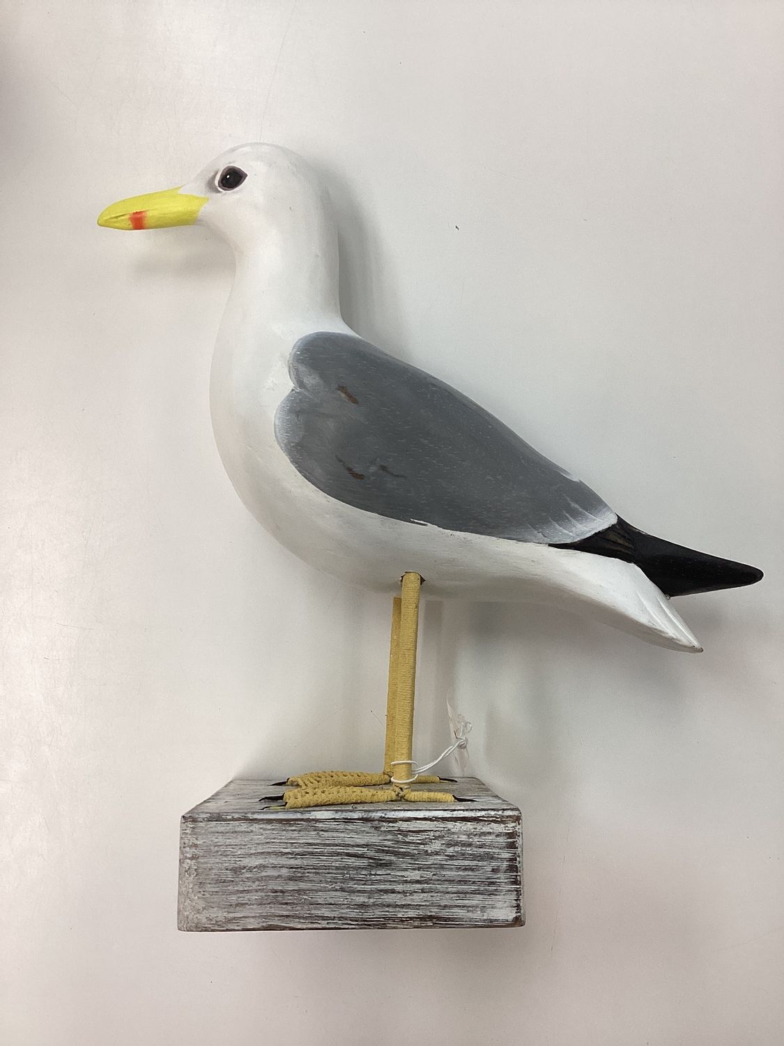 Gull- 12&quot;