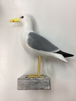Gull- 12&quot;