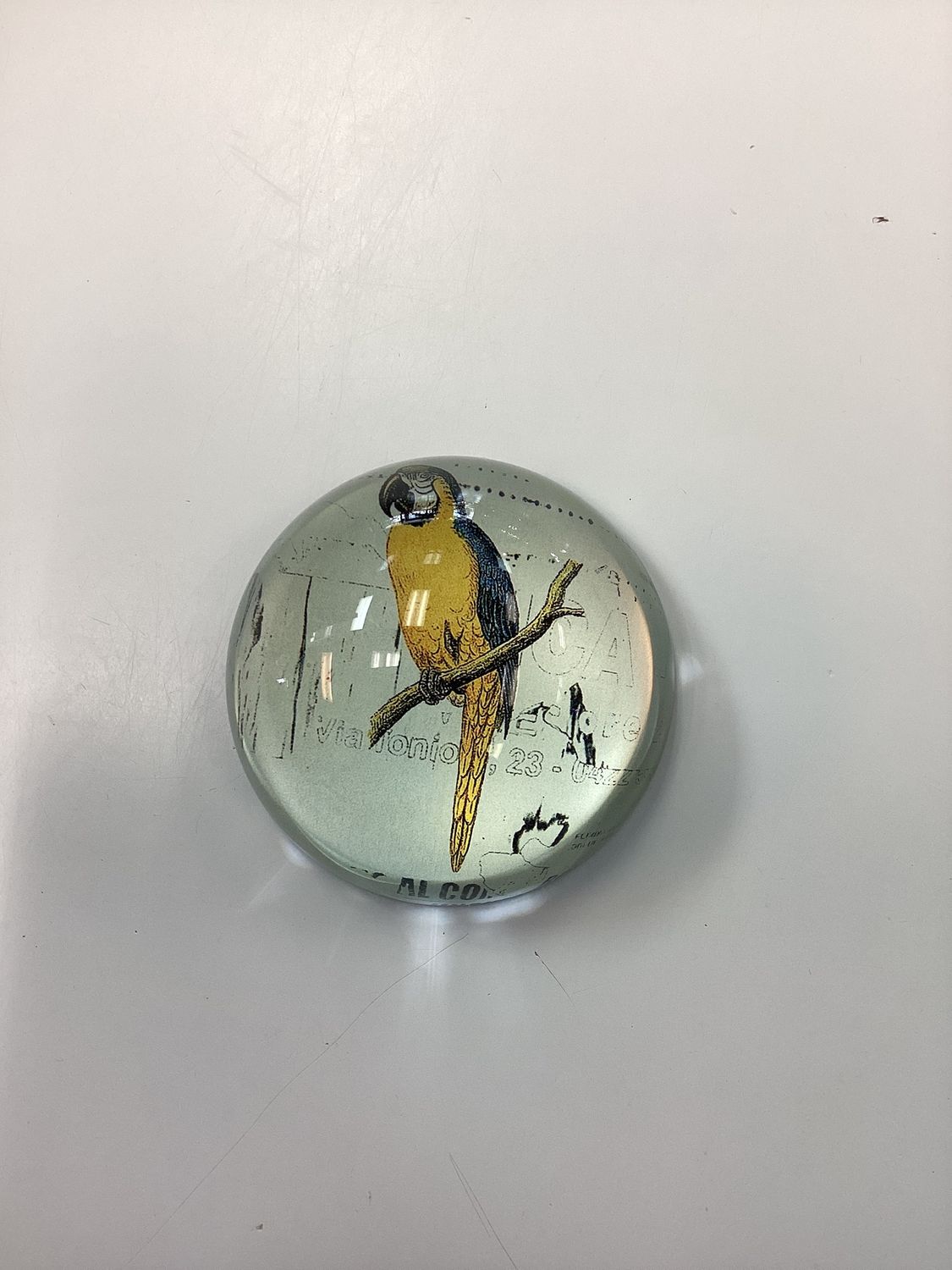 Parrot Paper Weight