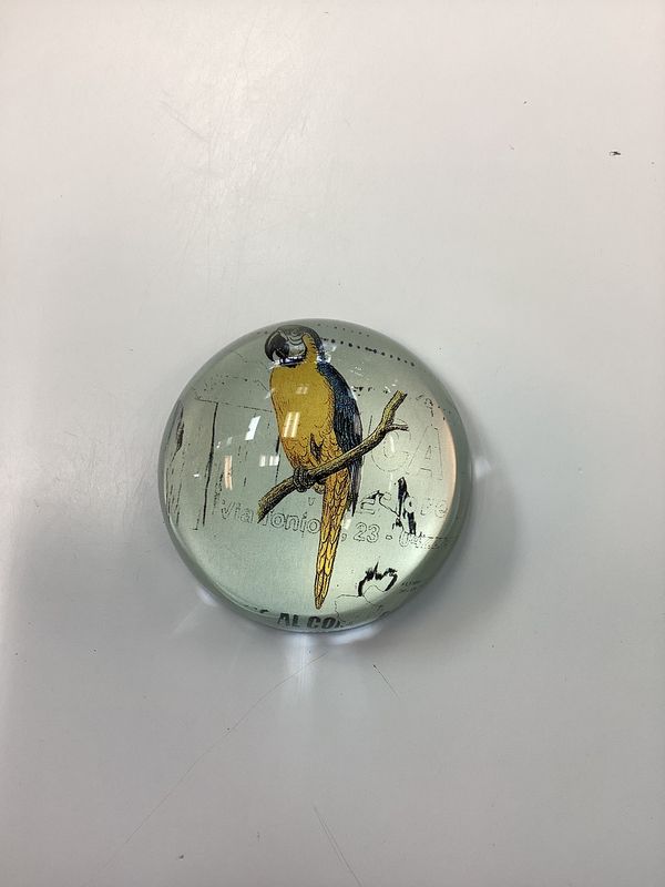 Parrot Paper Weight