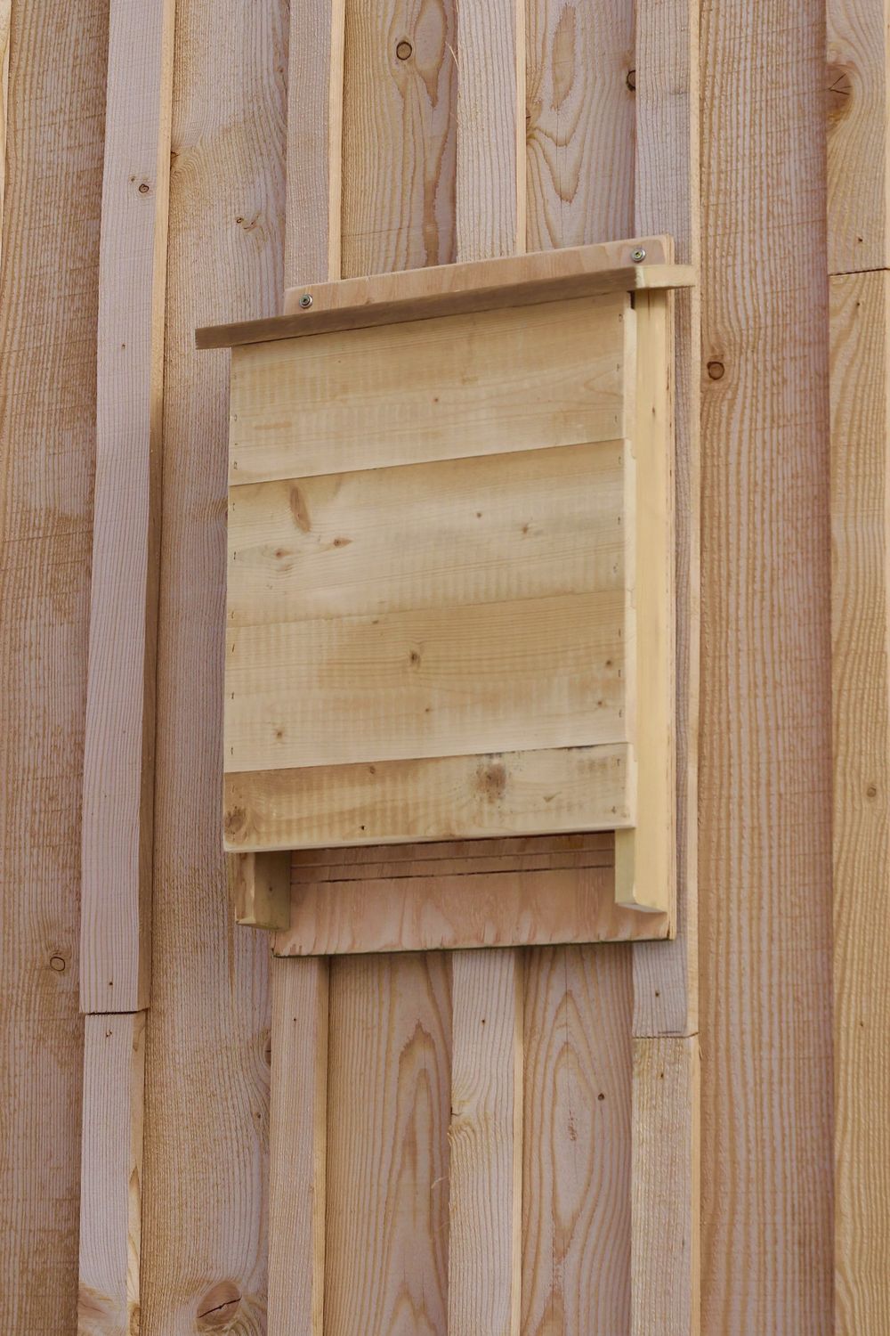 Bat House
