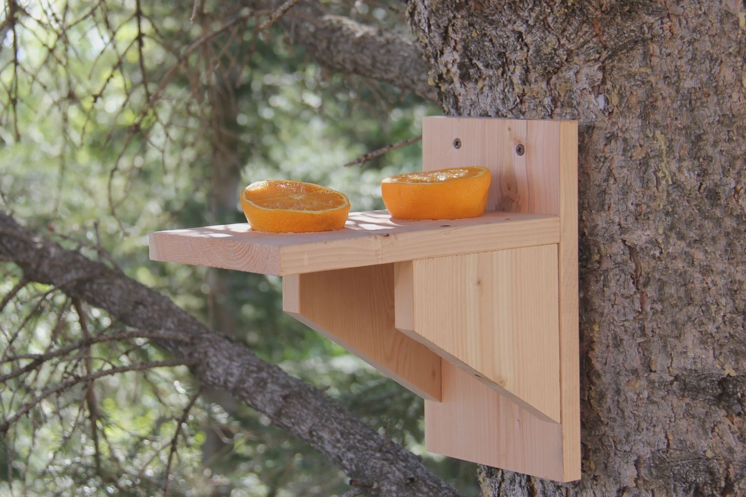 DIY Oriole feeder