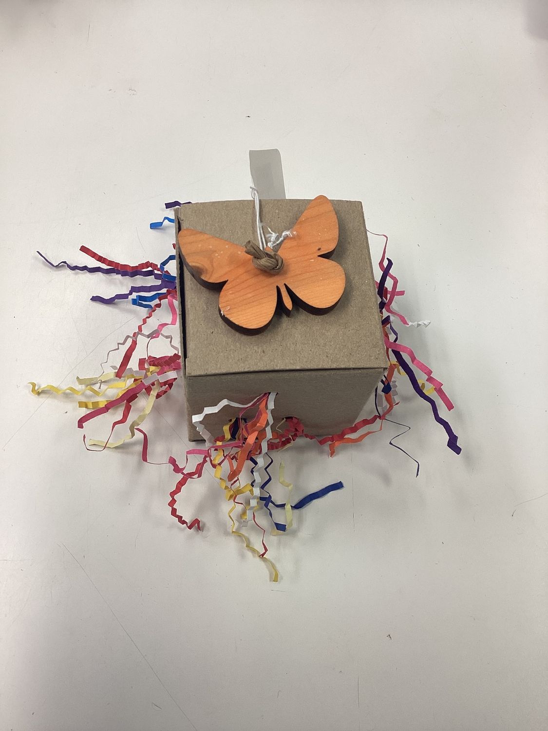 Butterfly Forage Box