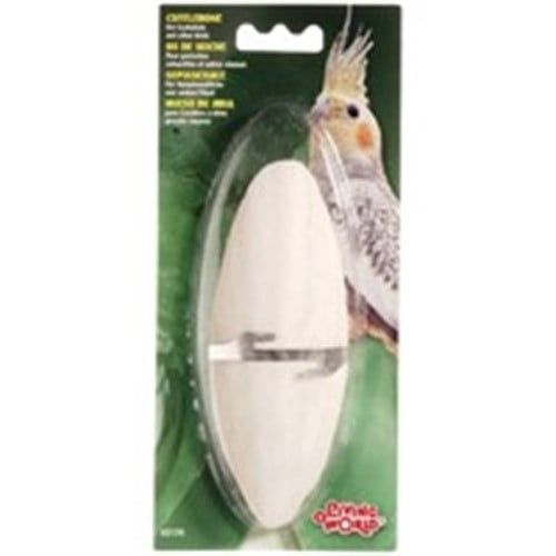 Living World 82176 15-18 Cm Large Cuttlebone