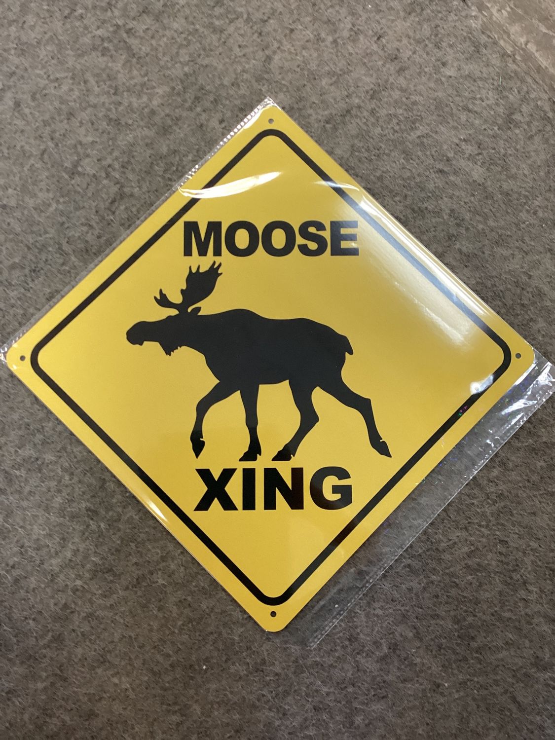 Moose Crossing