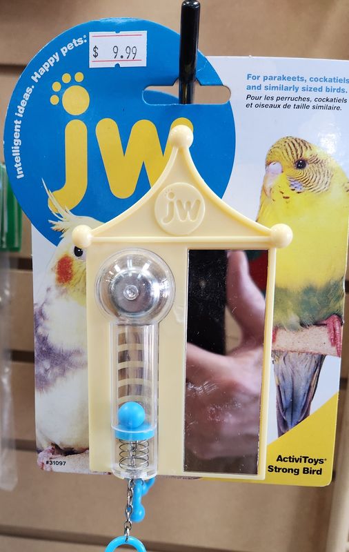 Strong Bird
