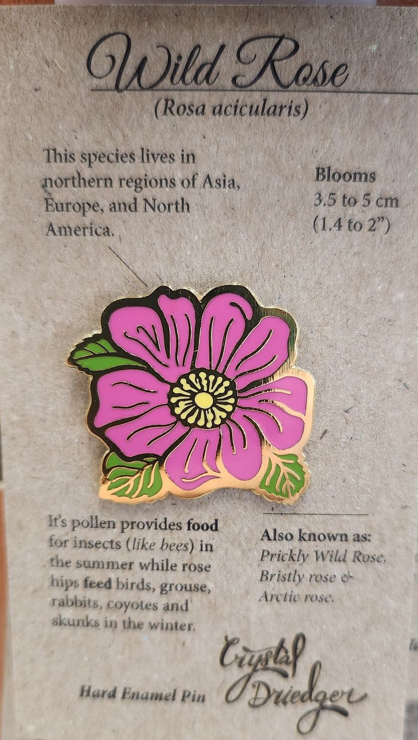 Wild Rose