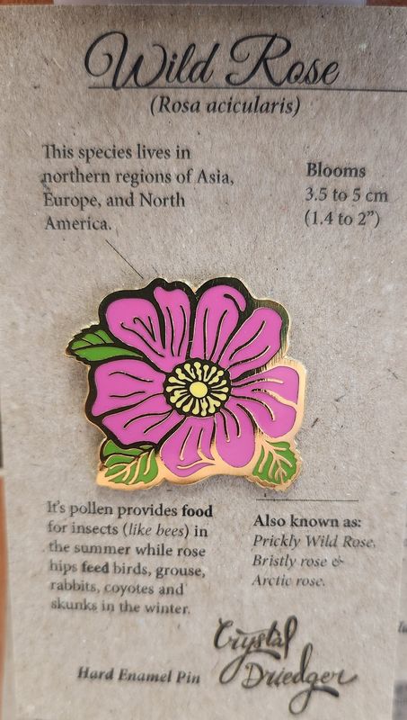 Wild Rose