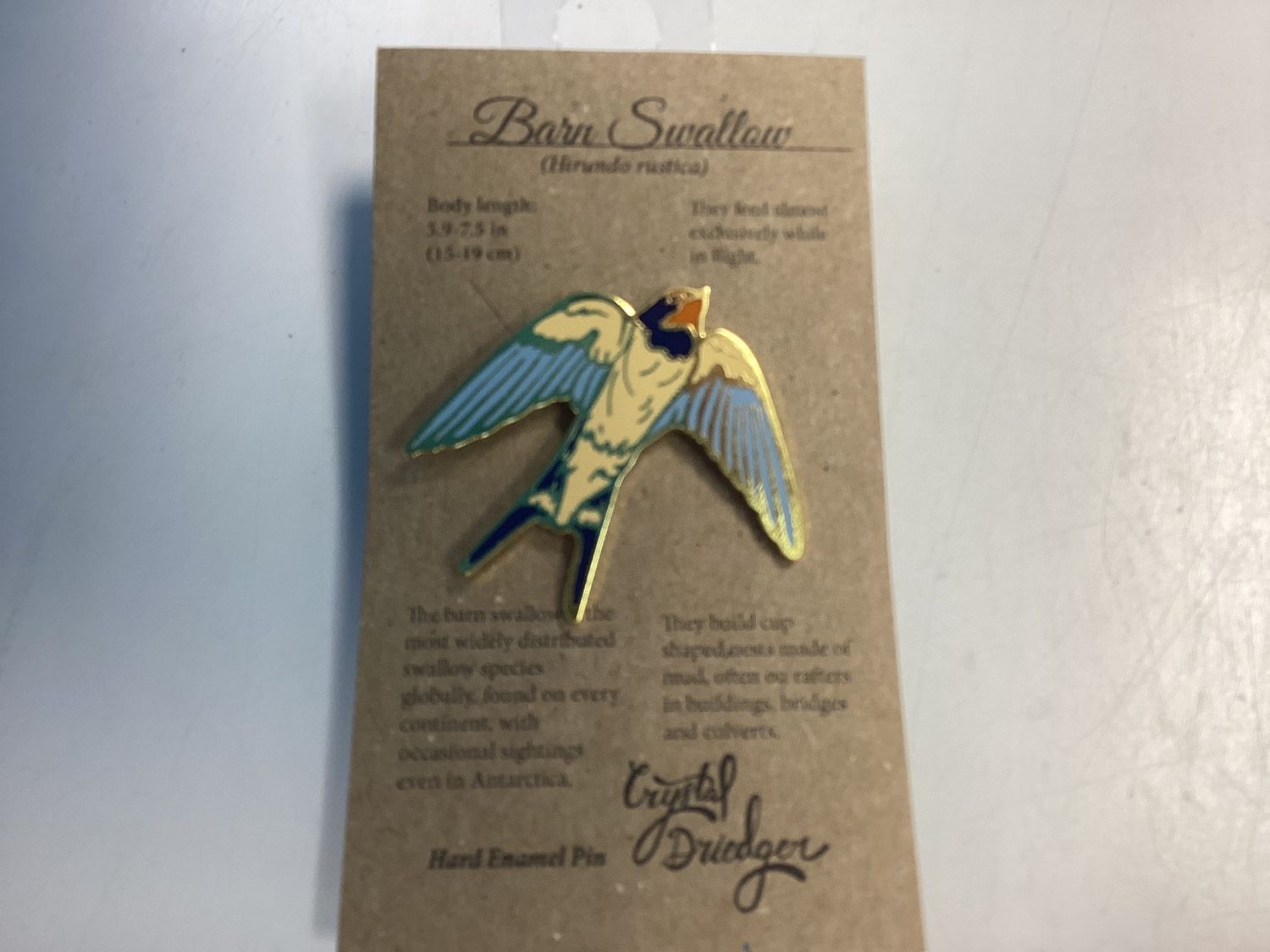 Tan Barn Swallow