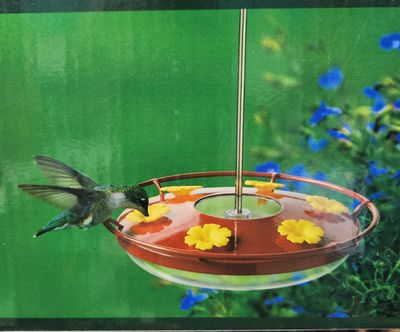 Touch of Nature Saucer Hummingbird Feeder