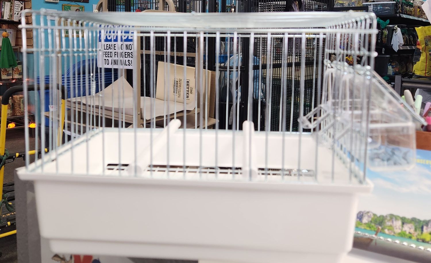 White Canary Carrier