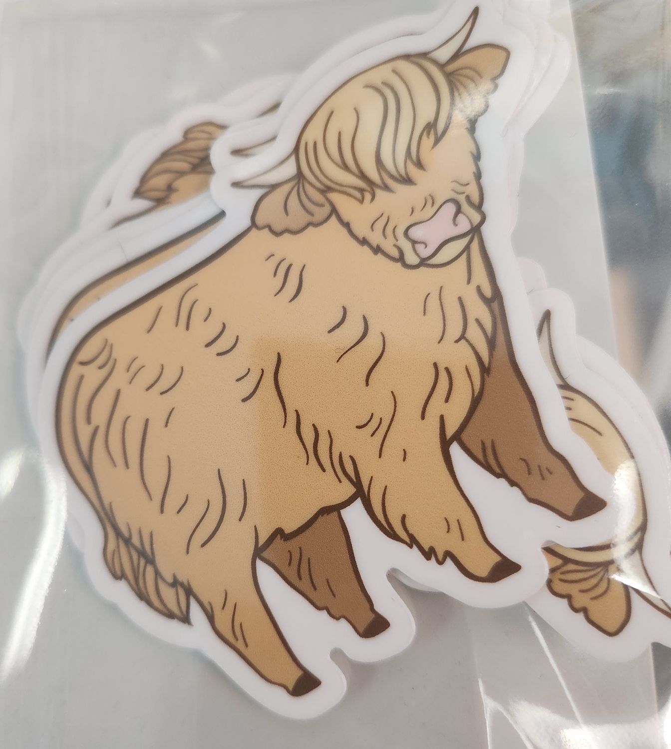 Highland Cow sticker