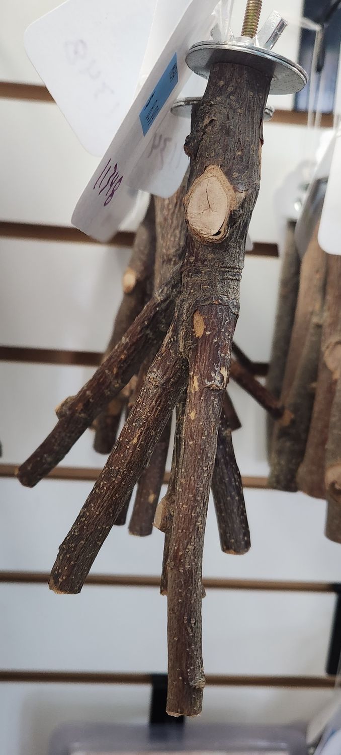 Small Forked Apple Perch