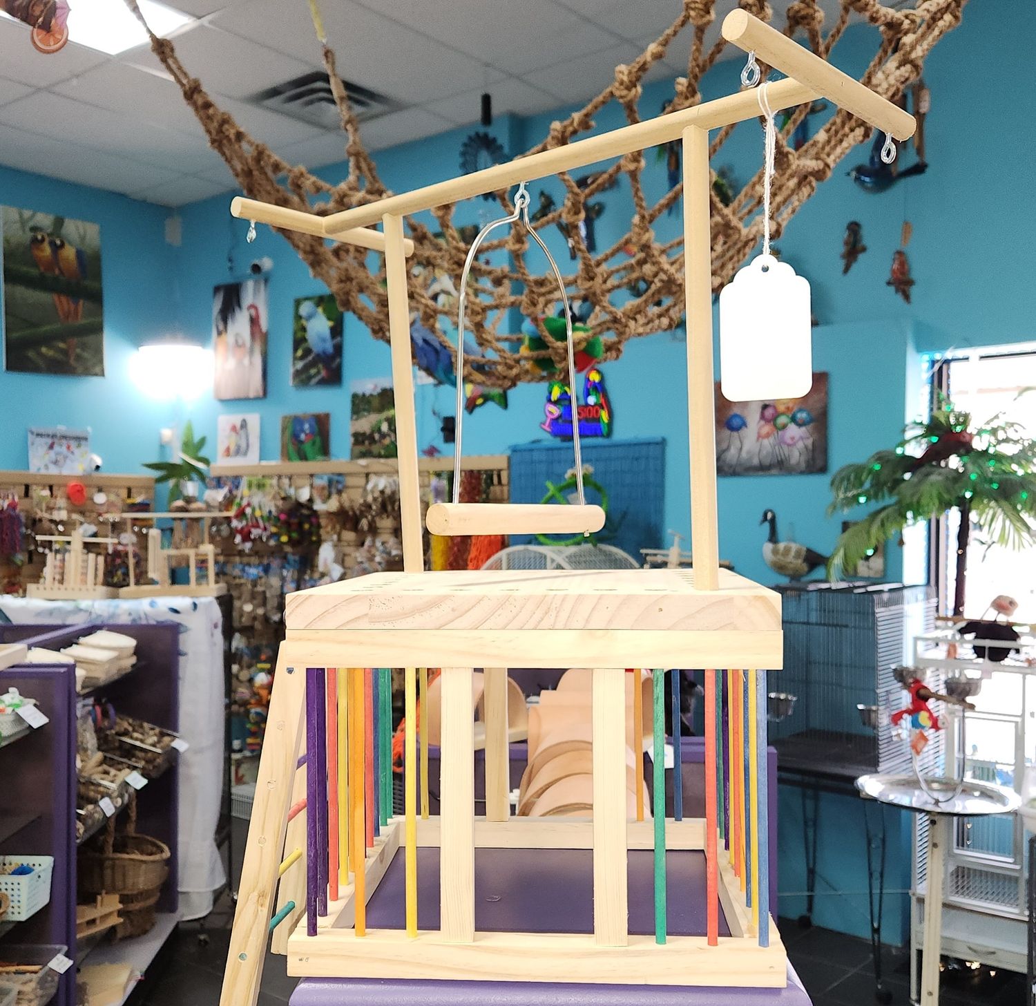 Small Activity Center