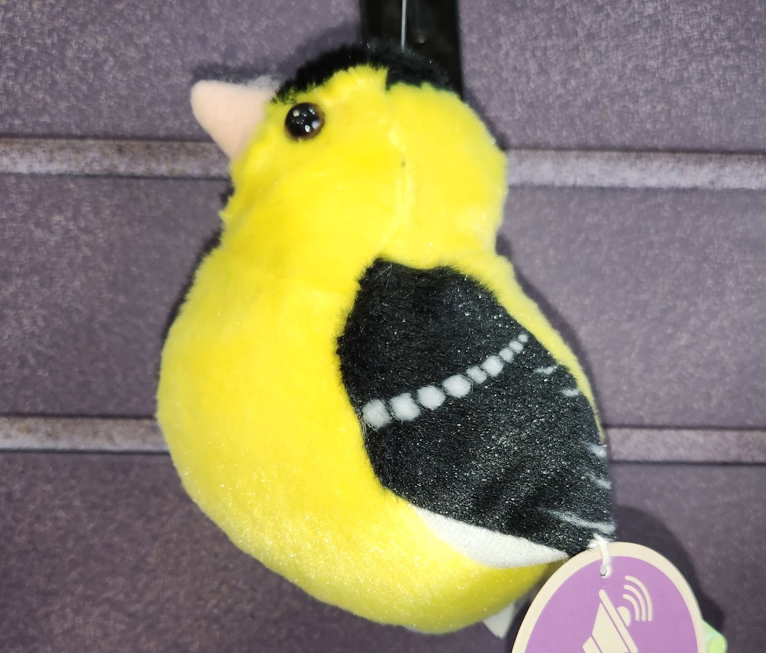 American Goldfinch
