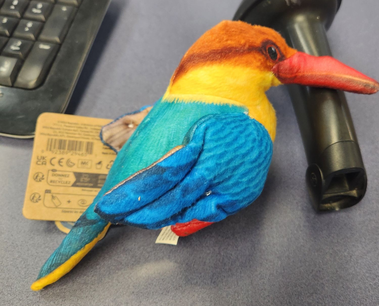 Stork billed Kingfisher