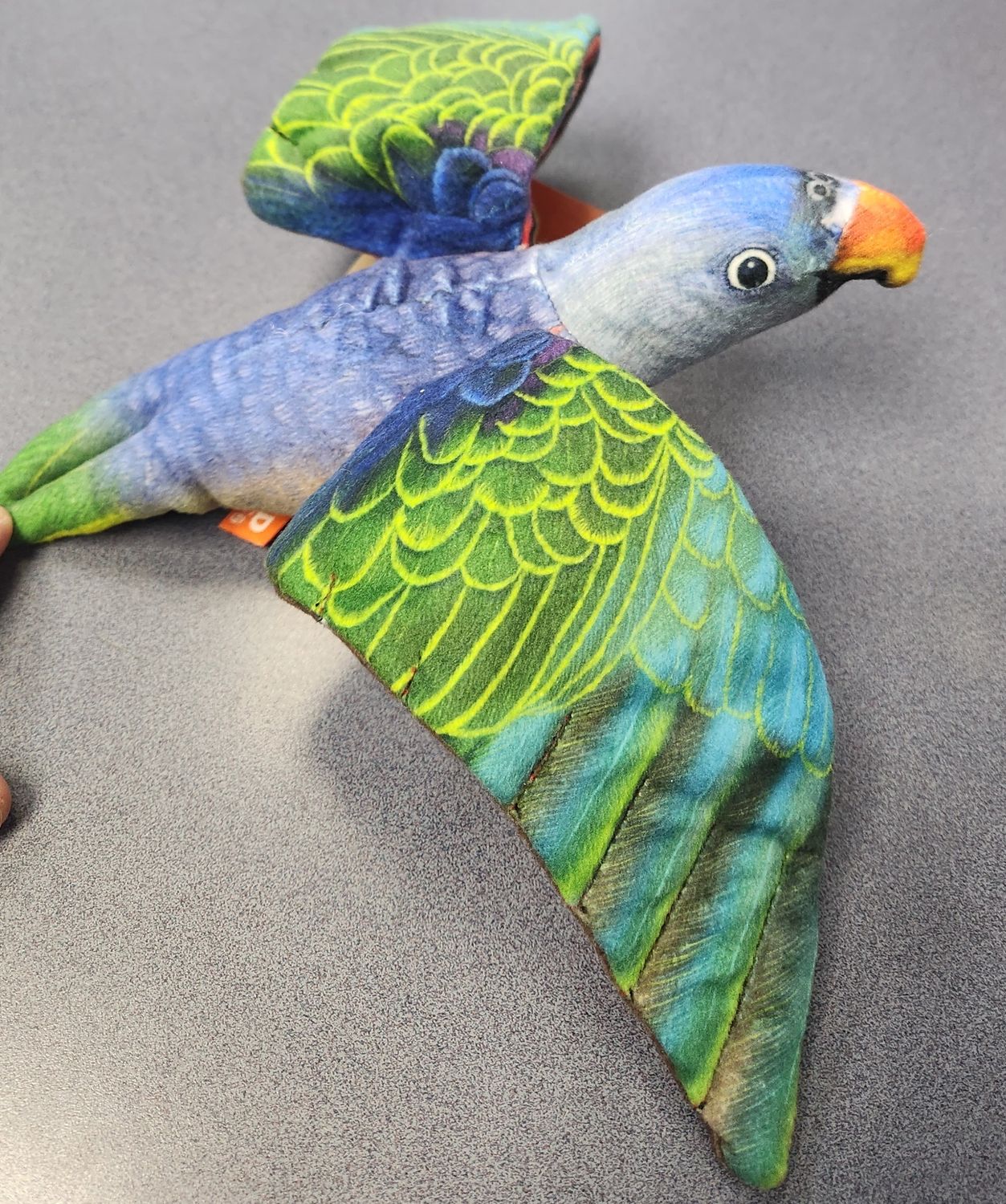 Flying Blue Rumped Parrot