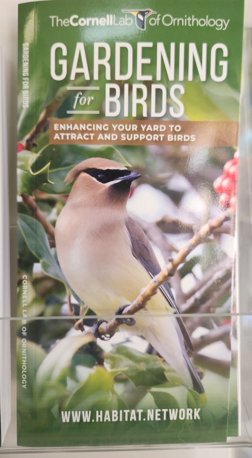 Gardening for Birds